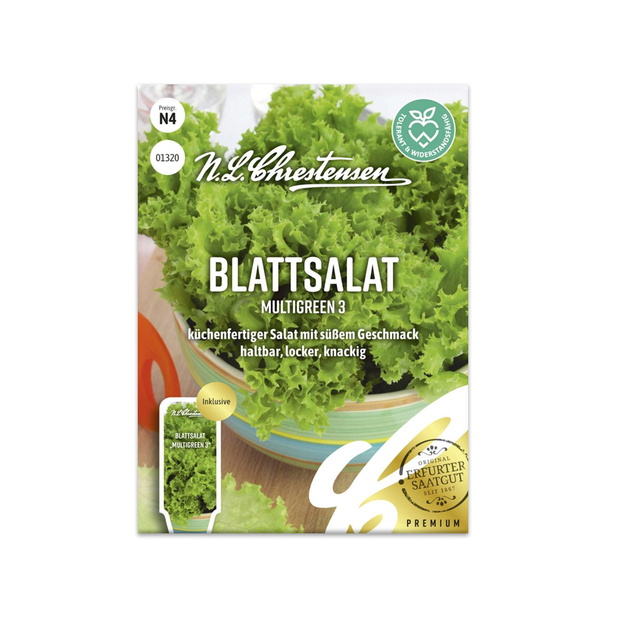 Blattsalat 'Multigreen 3' N.L.Chrestensen