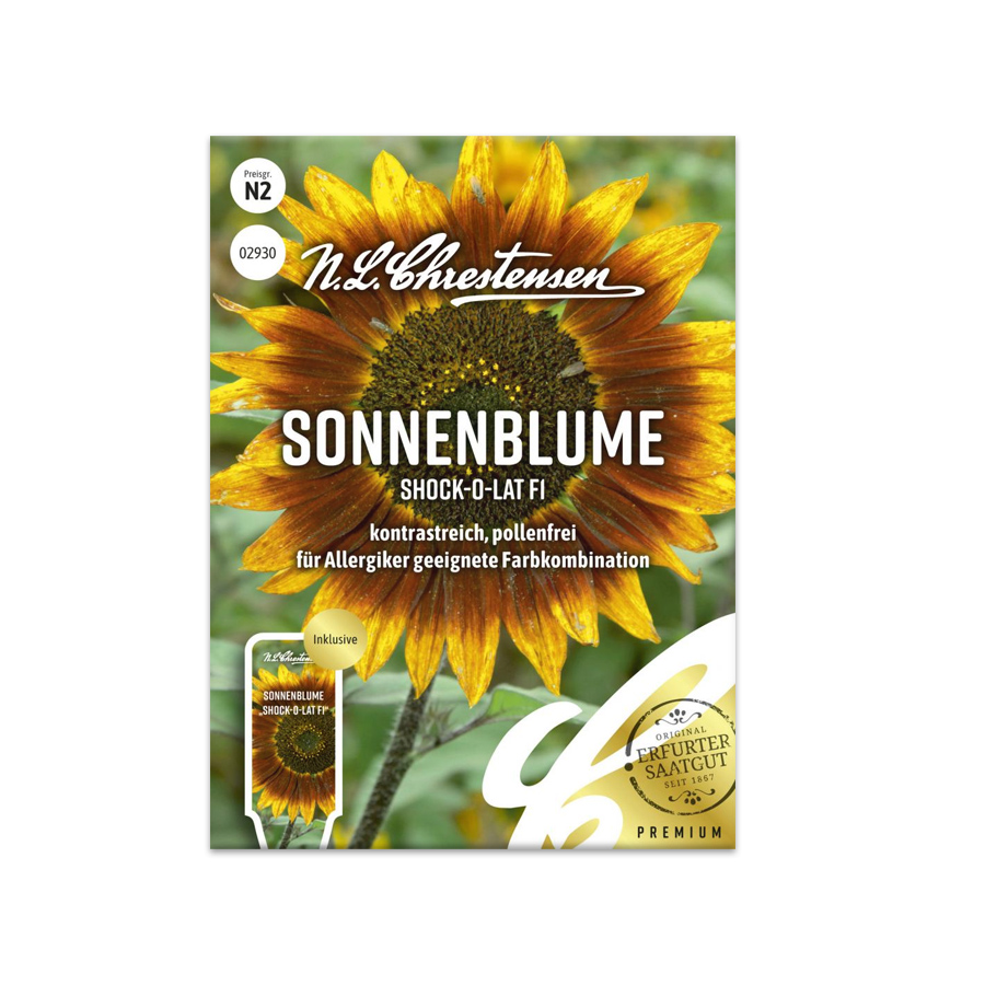 Sonnenblume 'Schock-o-lat F1' N.L.Chrestensen
