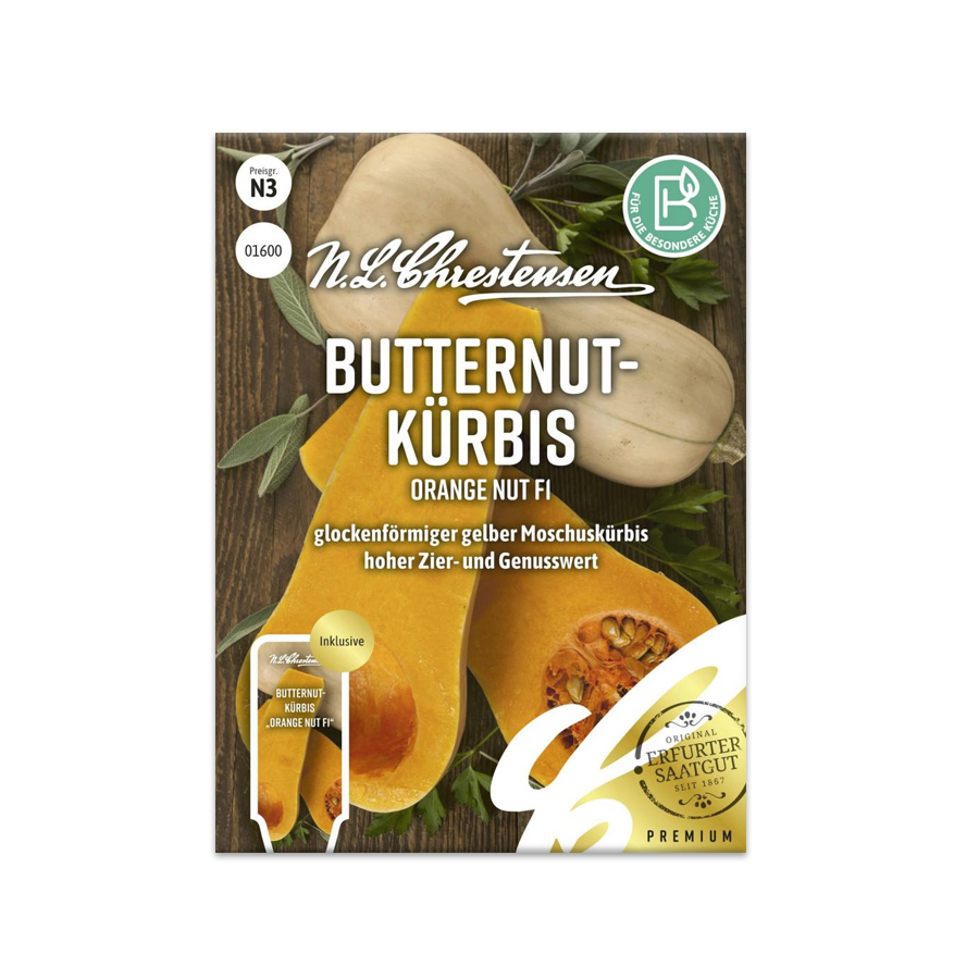 Butternutkürbis 'Orange Nut F1' N.L.Chrestensen