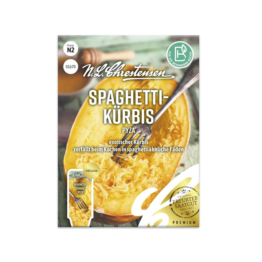 Spaghettikürbis 'Pyza' N.L.Chrestensen